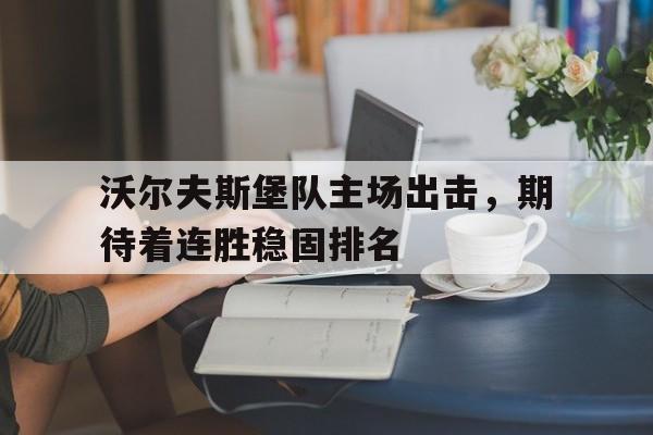 Yabo-沃尔夫斯堡队主场出击，期待着连胜稳固排名