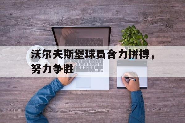 Yabo-沃尔夫斯堡球员合力拼搏，努力争胜